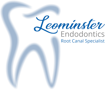 Lemominster Endodontics, Endodontist in Leominster, MA